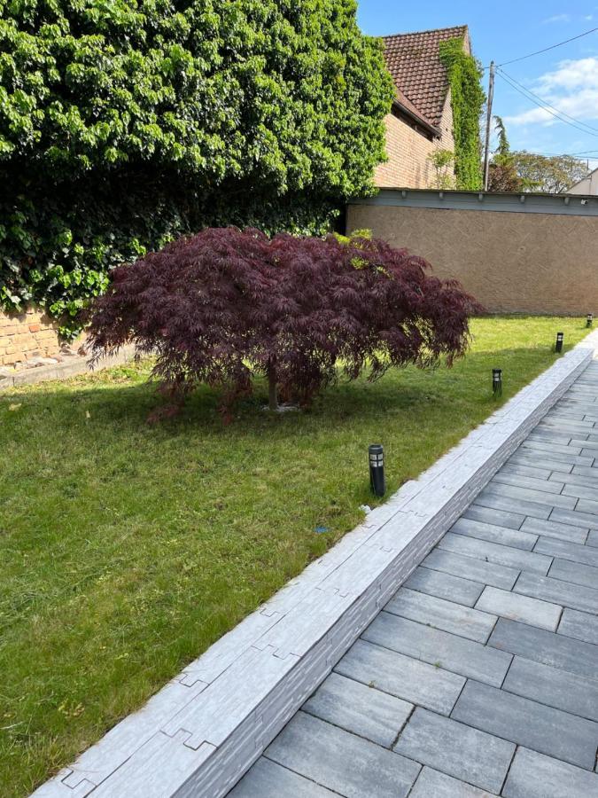 Logement De Charme - W&B House Dorlisheim Екстериор снимка