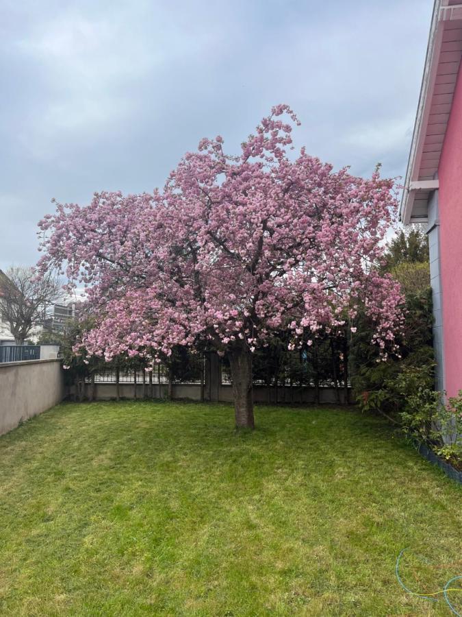 Logement De Charme - W&B House Dorlisheim Екстериор снимка